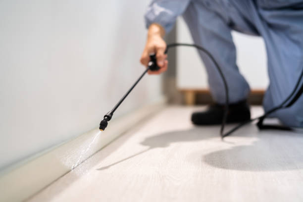 Bed Bug Pre-Treatment Preparation Assessment in Interlaken